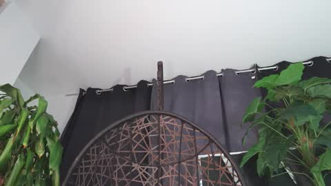 Snapshot of tony_newmen chatting on 02-12-26, 12:16 tony online show from 02-12-26, 12:16