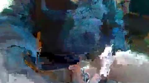 Topcat127 online show from 03-01-25, 07:08