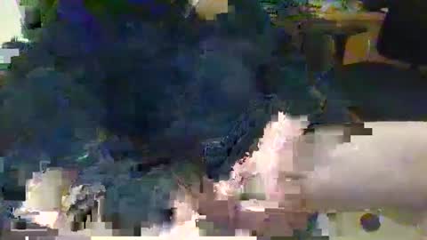 Topcat127 online show from 03-05-25, 06:23