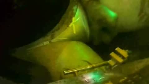 tosexyforjustus online show from 03-15-26, 08:59