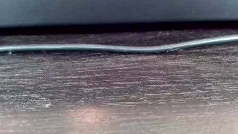 Vasiliy online show from 02-24-25, 05:22