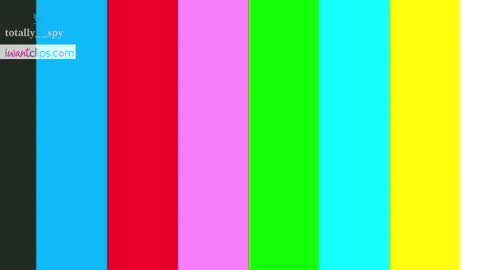 Snapshot of totally_spy chatting on 03-03-25, 06:55 Madam Viktoria Vacation in Portugal 2811 - 0412 online show from 03-03-25, 06:55