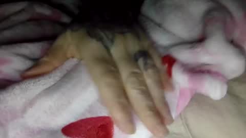 toxicanikki online show from 01-08-26, 08:05