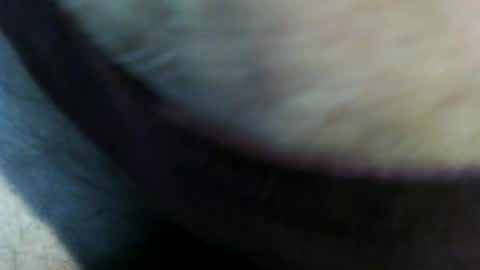 trailblazer1969 online show from 06-27-26, 10:37