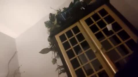 trans167456 online show from 12-19-25, 09:49