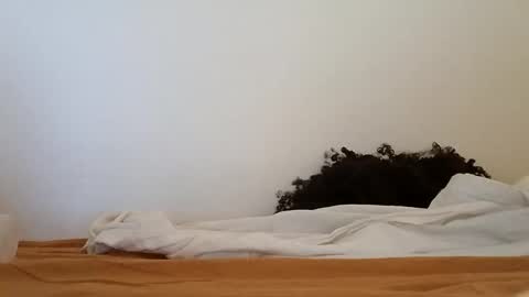 transexblackfat online show from 11-19-25, 01:33