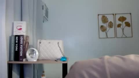 Snapshot of travelergirl chatting on 02-22-26, 03:10 travelergirl online show from 02-22-26, 03:10