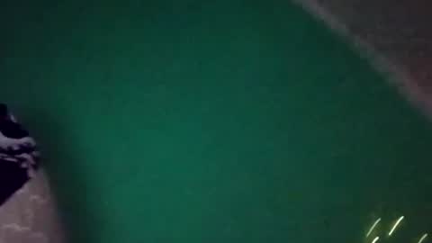 treemandude6867 online show from 07-31-26, 01:05