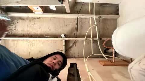 trees559 online show from 03-02-26, 04:47