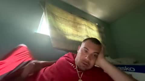 trees559 online show from 04-19-26, 06:54