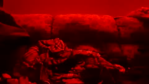 Snapshot of tretrix5588 chatting on 01-11-25, 10:51 tretrix5588 online show from 01-11-25, 10:51