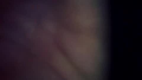 trex23rd online show from 03-06-26, 11:39