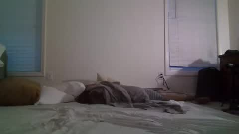 Snapshot of trickquestion chatting on 02-08-25, 11:44 trickquestion online show from 02-08-25, 11:44