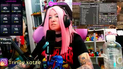 Snapshot of trinitykatze chatting on 04-09-26, 06:46 Trin Kat pet online show from 04-09-26, 06:46