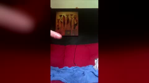 troupin online show from 06-07-26, 05:55