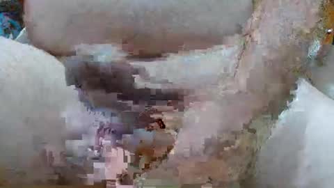 troy1965 online show from 02-23-26, 04:32