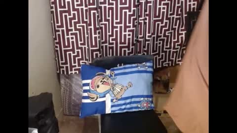 SARCY online show from 02-24-26, 11:14