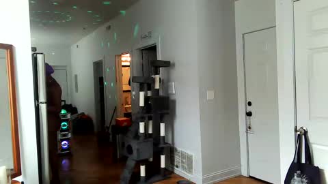 Amber White online show from 02-02-25, 07:46