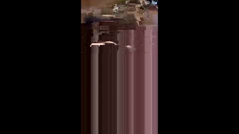 tshull0009 online show from 04-01-26, 06:05