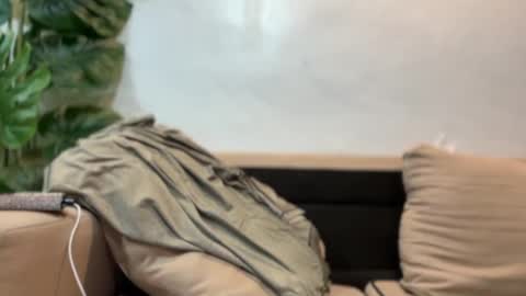 Snapshot of tskendall_collins chatting on 09-17-25, 07:37 kendall online show from 09-17-25, 07:37