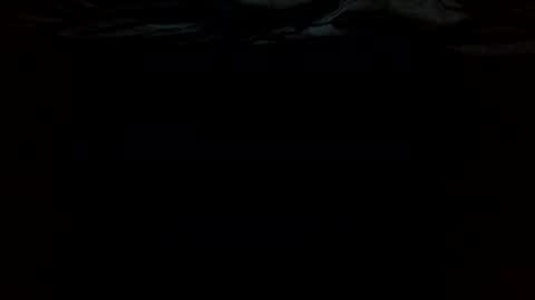 ttess0742 online show from 06-16-26, 02:36