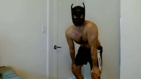 Snapshot of tuck_the_pup chatting on 05-28-26, 11:13 Tuck online show from 05-28-26, 11:13
