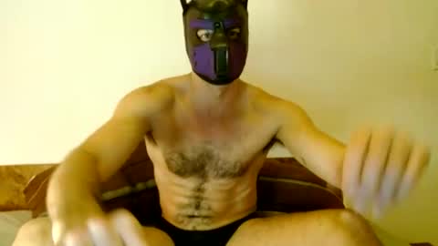 Snapshot of tuck_the_pup chatting on 08-01-26, 06:23 Tuck online show from 08-01-26, 06:23
