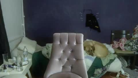 turkishtranswithsurgery online show from 12-20-25, 01:51