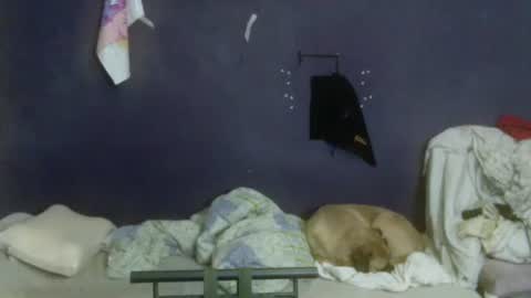 turkishtranswithsurgery online show from 04-12-26, 08:47