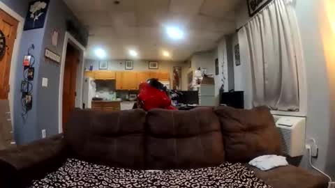 twicethetease2 online show from 02-08-26, 07:34