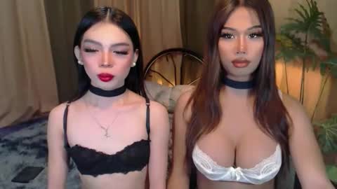 Snapshot of twinktransshanel chatting on 10-06-25, 04:21 twinktransshanel online show from 10-06-25, 04:21