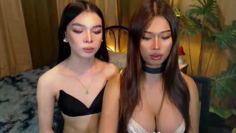 Snapshot of twinktransshanel chatting on 10-09-25, 05:27 twinktransshanel online show from 10-09-25, 05:27