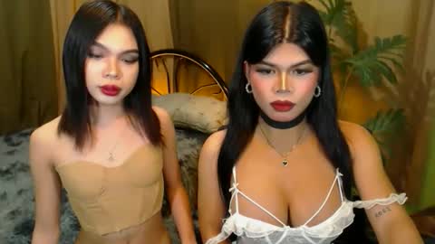 Snapshot of twinktransshanel chatting on 10-20-25, 10:16 twinktransshanel online show from 10-20-25, 10:16