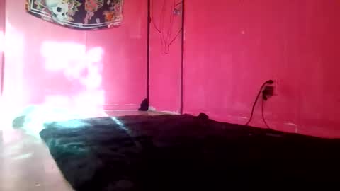 twizzytoxic22 online show from 05-09-26, 11:21