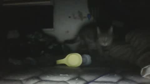 twonkydonk27 online show from 12-13-25, 10:15