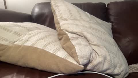 Snapshot of ty23333 chatting on 03-06-25, 07:36 ty223222 online show from 03-06-25, 07:36