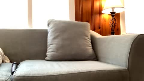 Snapshot of tylersands chatting on 02-22-25, 03:14 Tyler Sands online show from 02-22-25, 03:14