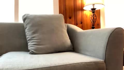 Snapshot of tylersands chatting on 02-23-25, 01:42 Tyler Sands online show from 02-23-25, 01:42