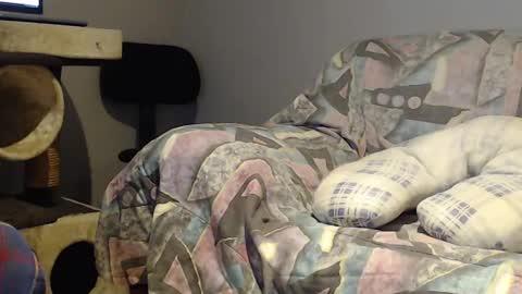 Helena and Tyson online show from 02-22-25, 03:56