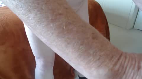 Uncle online show from 04-21-26, 08:53