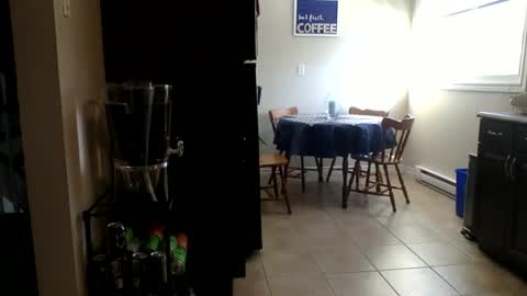 Buzz Bigcock online show from 02-23-26, 08:28