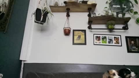 MYMY online show from 02-08-26, 03:43