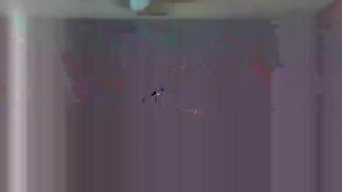 Snapshot of urls2025 chatting on 11-23-25, 04:34 urls2025 online show from 11-23-25, 04:34