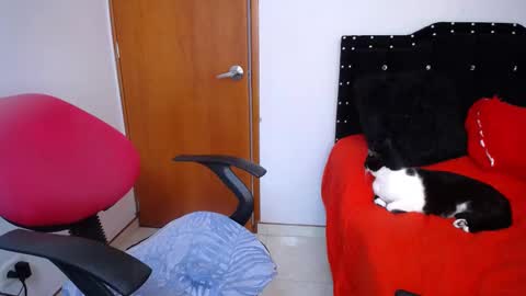 Eveling Blanco  online show from 02-18-25, 05:53