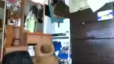 Jhossa online show from 07-13-26, 03:48