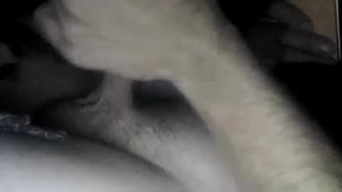 Snapshot of useabitchplz chatting on 04-22-26, 10:06 Slave bitch online show from 04-22-26, 10:06