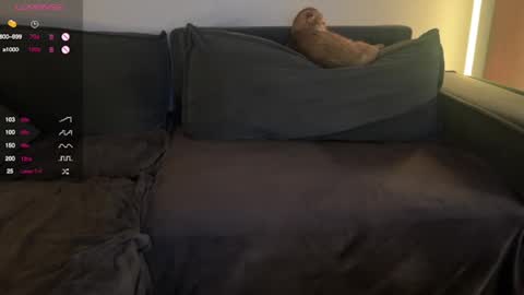 Snapshot of vaiee chatting on 02-20-25, 07:52 Valery online show from 02-20-25, 07:52