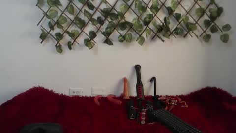 Snapshot of vaiolet_miss chatting on 11-10-25, 01:54 vaiolet online show from 11-10-25, 01:54