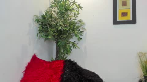 valeri_tafur online show from 11-12-25, 12:33