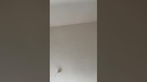 Snapshot of valerianleclercq2025 chatting on 02-27-26, 04:07 valerianleclercq2025 online show from 02-27-26, 04:07